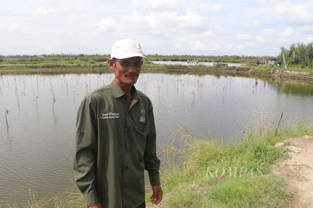 Miswat (50),  a resident of Tanjung Rejo Village, shows a former fish pond that was rehabilitated as a mangrove forest in Percut Sei Tuan District, Deli Serdang Regency, North Sumatra, Tuesday (8/11/2022).