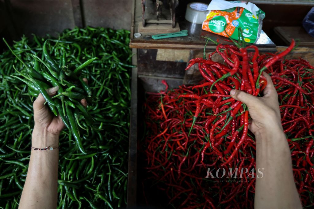 Pedagang mengambil cabai merah dan hijau di Pasar Senen, Jakarta Pusat, Selasa (26/12/2023). 