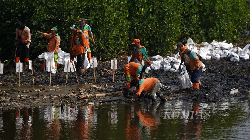 Petugas gabungan Dinas Lingkungan Hidup DKI Jakarta membersihkan sampah yang menumpuk di hutan mangrove Muara Angke, Penjaringan, Jakarta Utara, Kamis (13/7/2023). 