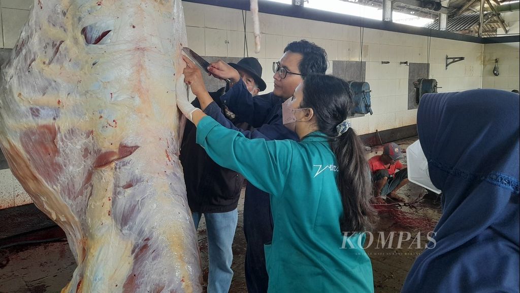 Tim dari Fakultas Kedokteran Hewan pada Laboratorium Kesehatan Masyarakat Veteriner Universitas Brawijaya, Malang, memeriksa daging hewan kurban di rumah potong hewan setempat, Minggu (10/7/2022).