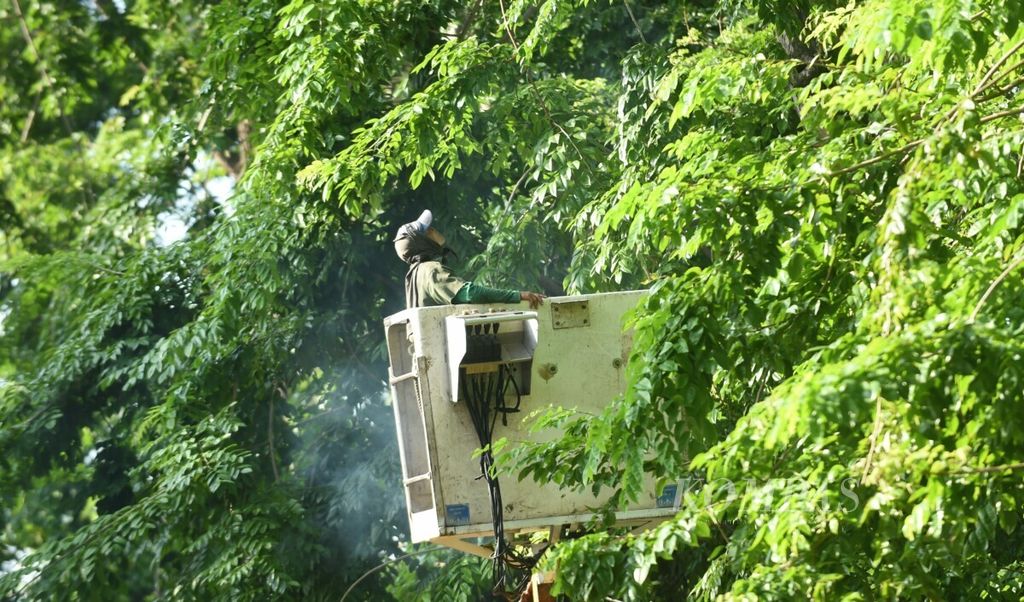 Petugas Dinas Kebersihan dan Ruang Terbuka Hijau memeriksa pohon sebelum melakukan pemangkas pohon di Jalan Ahmad Yani, Kota Surabaya, Jawa Timur, Kamis (9/1/2020). 