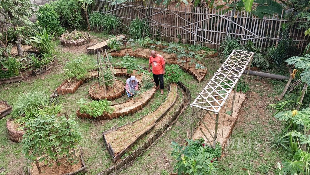 Britania Sari dan suaminya saat mengurus kebun di halaman belakang rumah mereka di Perumnas 2, Parung Panjang, Kabupaten Bogor, Jawa Barat.