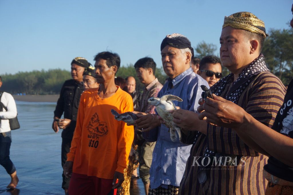 Putra Wayah Cahya Buwana melepasliarkan 38 tukik ke Pantai Srandil, Cilacap, Jawa Tengah, Jumat (21/7/2023). 