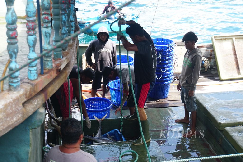 Pekerja membongkar ikan tangkapan dari Kapal Motor Sentosa XVIII berbobot 131 gros ton di Pelabuhan Perikanan Samudera Bitung, Sulawesi Utara, Jumat (20/10/2023).