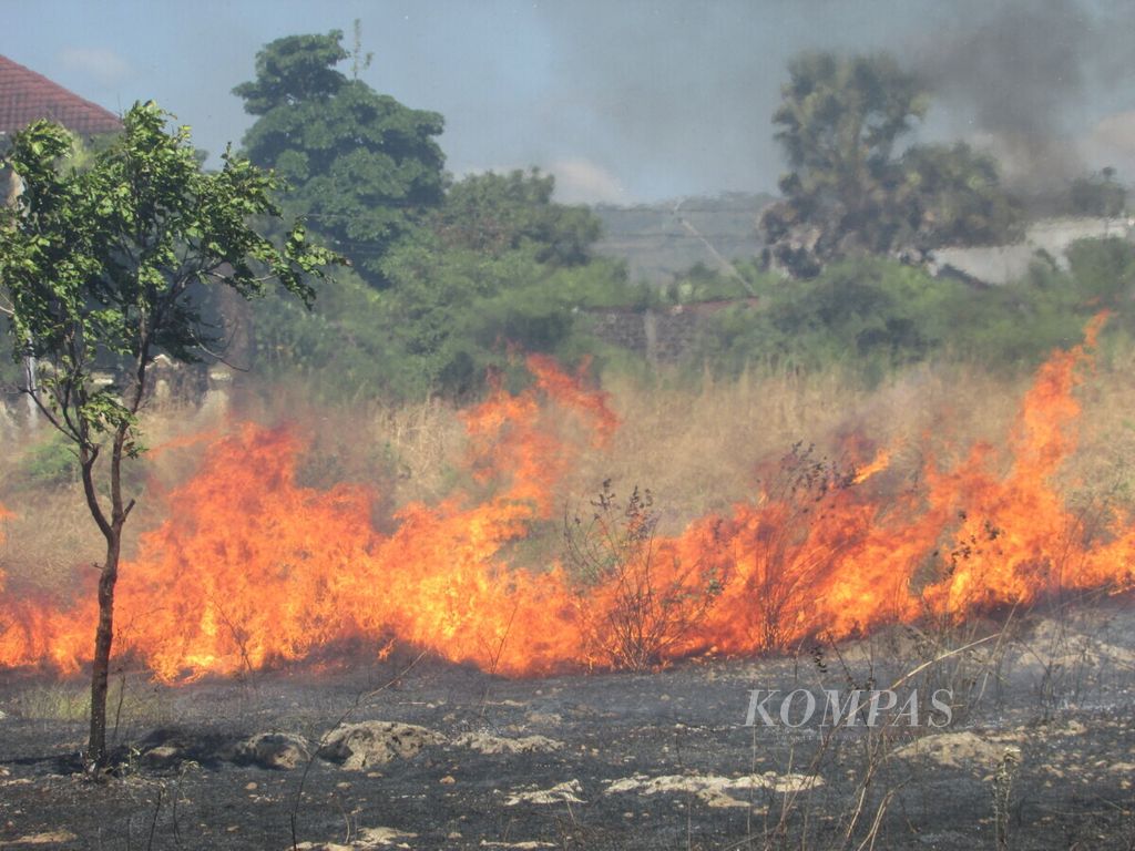 Kebakaran hutan di pinggiran Kota Kupang, Selasa (9/6/2020).