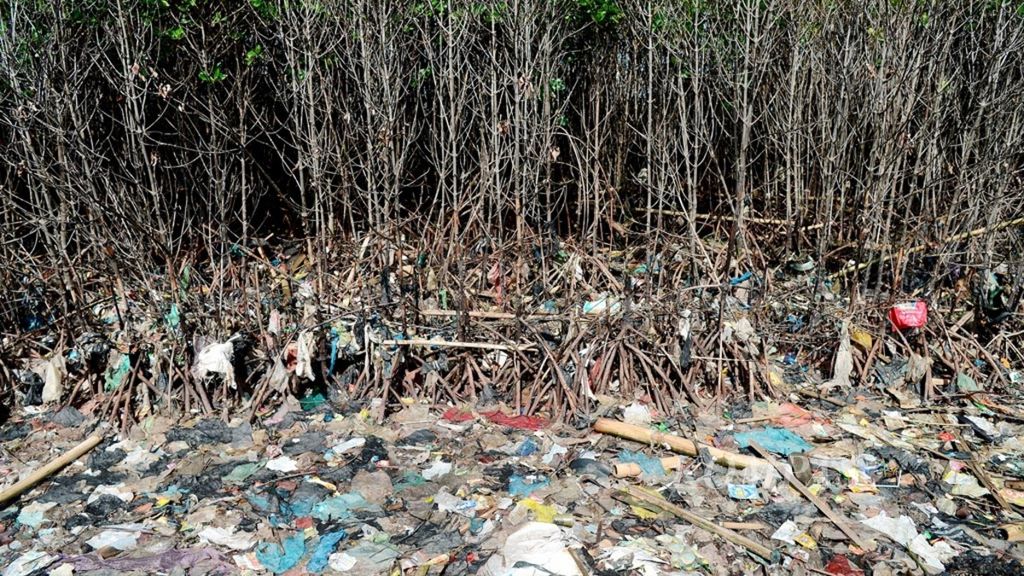 Sampah yang dibawa ombak mencemeri kawasan mangrove di Tambakrejo, Kota Semarang, Jawa Tengah, Jumat (30/11/2018). Penyediaan penampungan dan pengelolaan sampah masih menjadi persoalan pencemaran lingkungan di kawasan permukiman, sungai dan laut.