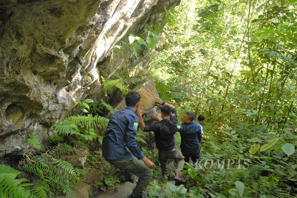Jalur setapak di Hutan Adat Tamulun Batuah, wilayah karst Bukit Bulan, Kabupaten Sarolangun, Jambi, November 2021.