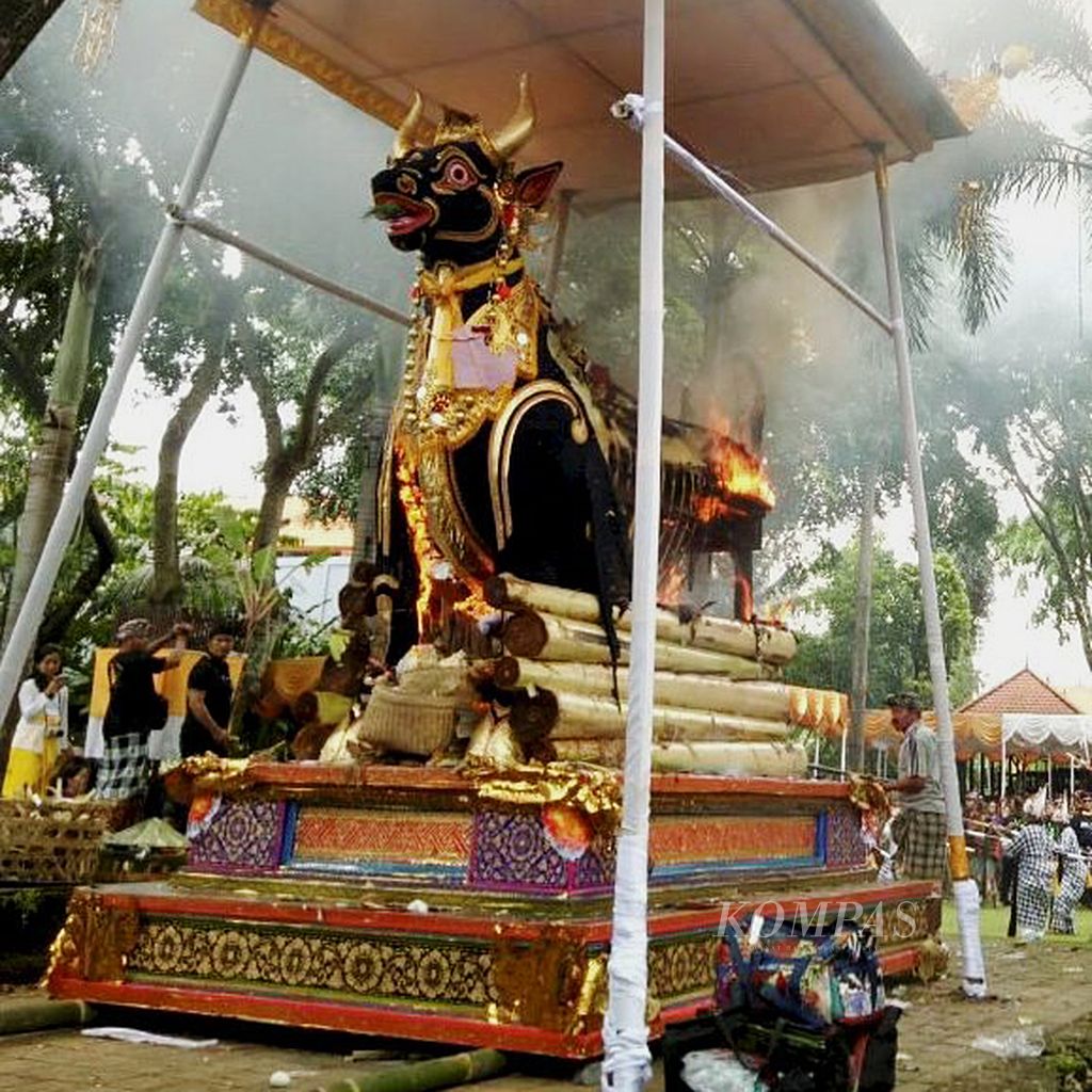 Lembu hitam sebagai tempat menempatkan jenazah I Gusti Adhi Putra, salah seorang warga Kerobokan, Kabupaten Badung, Bali, Sabtu (13/1) siang, pada upacara ngaben (pembakaran jenazah) di setra (kuburan) desa. Tempat pembakaran ini dipercaya sebagai simbol memperlancar jalan roh sang jenazah menuju siwaloka atau surga dan lembu hitam digunakan untuk keturunan kasta kesatria dengan tingkat upacara ngaben madya serta utama.