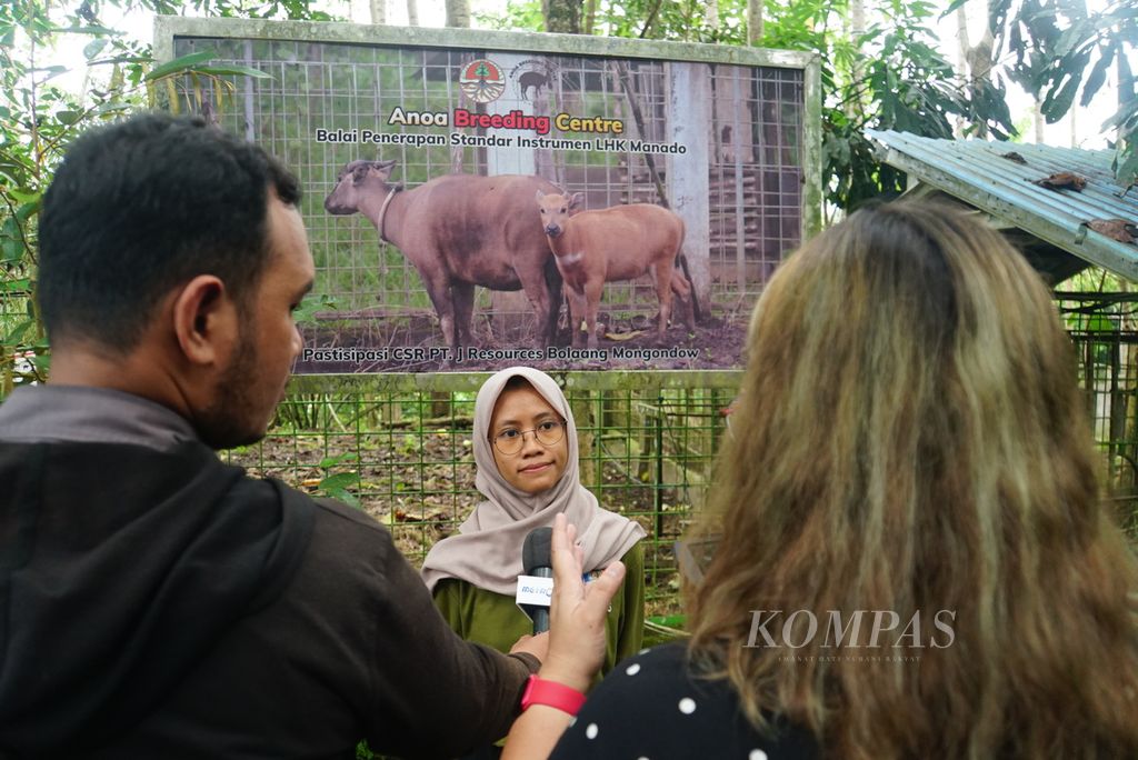 Afifah Hasna (25), dokter hewan Anoa Breeding Center Manado, Sulawesi Utara, menjawab pertanyaan wartawan pada Senin (17/7/2023).