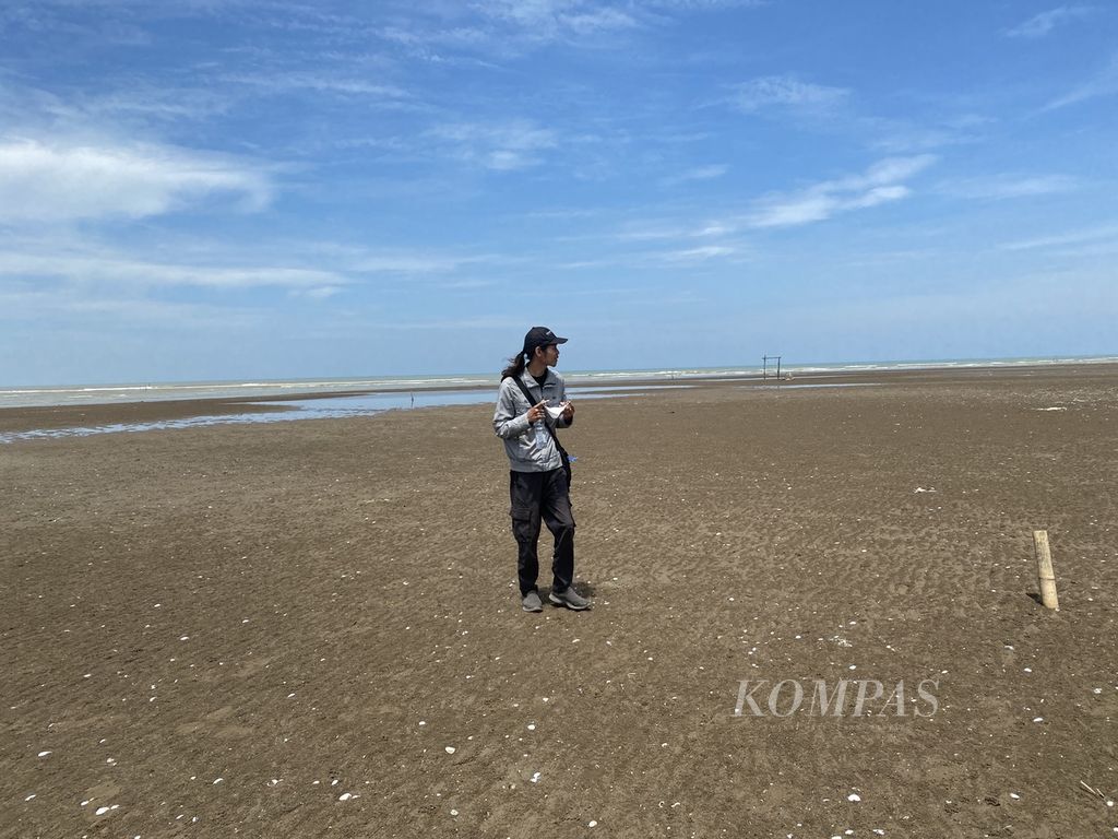 Pengunjung menikmati pemandangan di Pulau Arnavat, Desa Surodadi, Kecamatan Sayung, Kabupaten Demak, Jawa Tengah, Jumat (5/1/2024). 