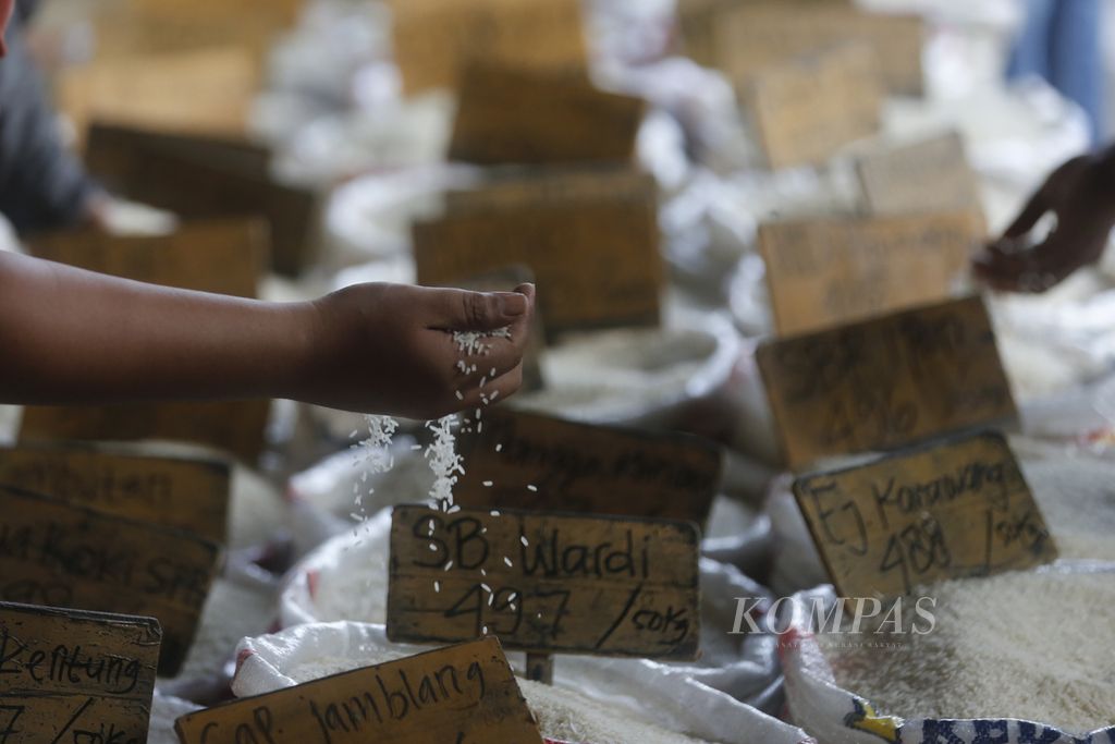 Calon pembeli mengecek kualitas setiap jenis beras di Pasar Induk Beras Cipinang, Jakarta, Senin (3/10/2022). Pemerintah melalui Perum Bulog menggenjot serapan gabah dan beras dari petani. Saat ini stok beras Bulog sebanyak 800.000 ton dan ditargetkan mencapai 1,2 juta ton.