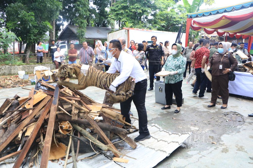 Petugas Balai Besar Konservasi Sumber Daya Alam Sumatera Utara memusnahkan barang bukti tindak pidana kehutanan hasil sitaan sejak tahun 2015, di Medan, Sumatera Utara, Kamis (10/8/2023). 
