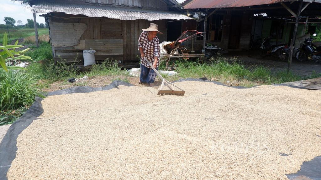 Petani sedang menjemur padi di Desa Penggalaman, Kecamatan Martapura Barat, Kabupaten Banjar, Kalimantan Selatan, Senin (16/10/2023).