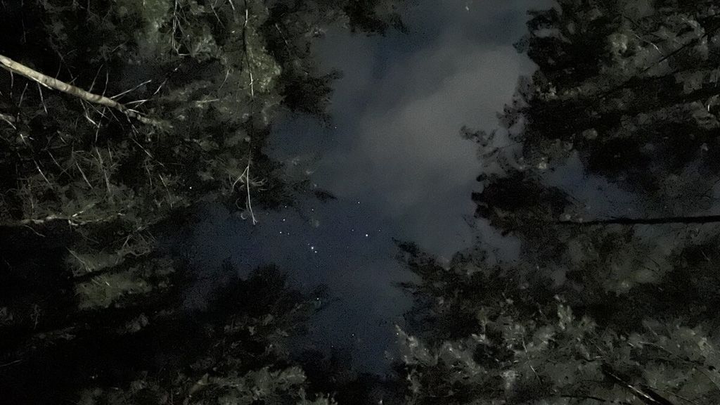 Pemandangan bintang dan pohon cemara saat malam hari di Pantai Lamaru, Kota Balikpapan, Kalimantan Timur, Sabtu (14/1/2023).