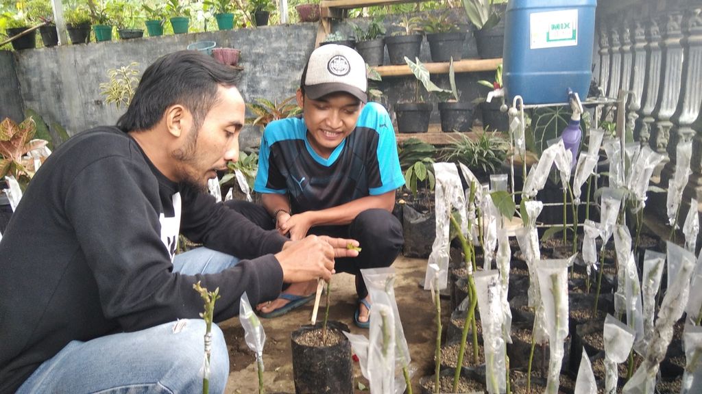 https://cdn-assetd.kompas.id/vgBsO1cfAmGQDP-ZRJlifAkABls=/1024x576/https%3A%2F%2Fkompas.id%2Fwp-content%2Fuploads%2F2021%2F03%2F70f693cf-5ce7-4235-8760-74a6c73c07ec_jpg.jpg