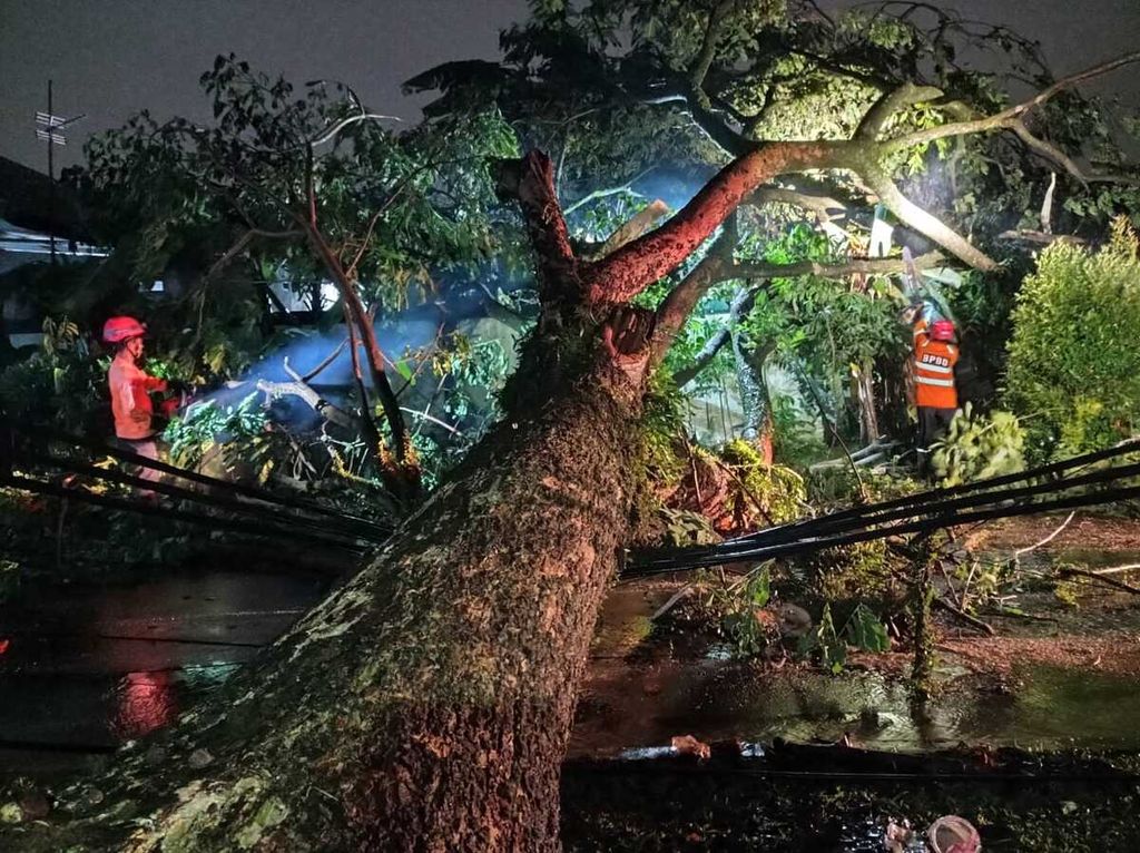 Ilustrasi. Pohon tumbang di kawasan sekitar Asrama Pusdikzi, Kelurahan Lawang Gintung, Bogor Selatan. Pohon jenis kelor setinggi 20 meter dan berdiameter 25 sentimeter itu menimpa dua rumah warga serta menutup akses jalan, Minggu (26/2/2023).