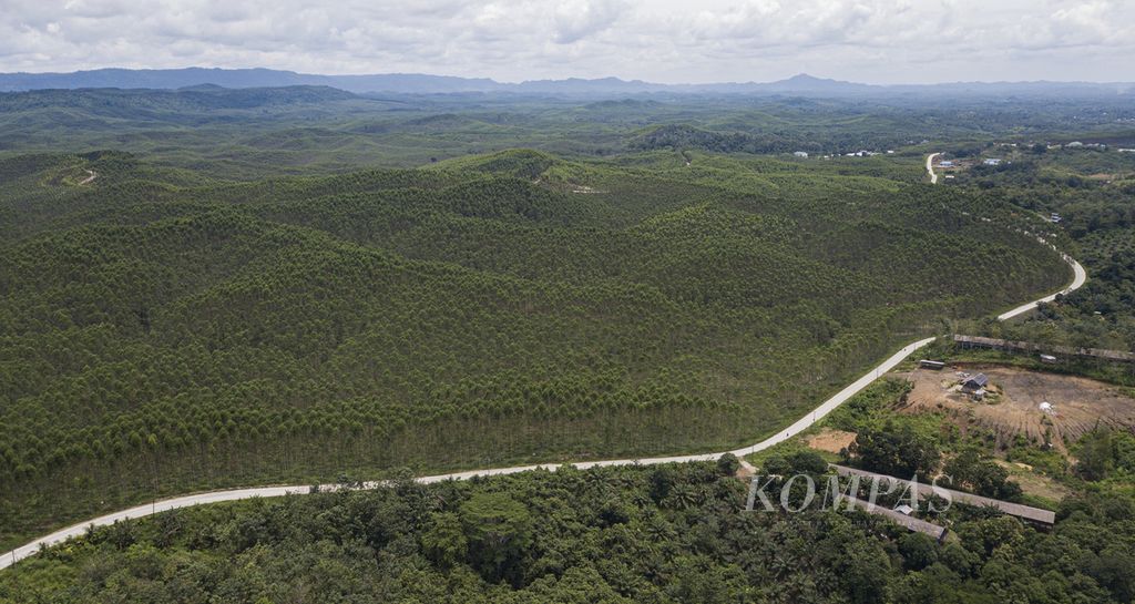 Foto udara kawasan hutan tanam industri PT ITCI Hutani Manunggal yang pernah dikunjungi oleh Presiden Joko Widodo pada Desember 2019 di kelurahan Pemaluan, Kecamatan Sepaku, Kabupaten Penajam Paser Utara, Kalimantan Timur, Kamis (11/3/2021). 