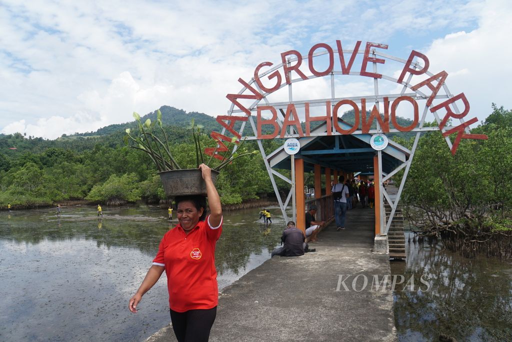 Seorang warga turut serta menanam 5.000 bibit mangrove di Bahowo Mangrove Park, Manado, Sulawesi Utara, Selasa (27/9/2022).