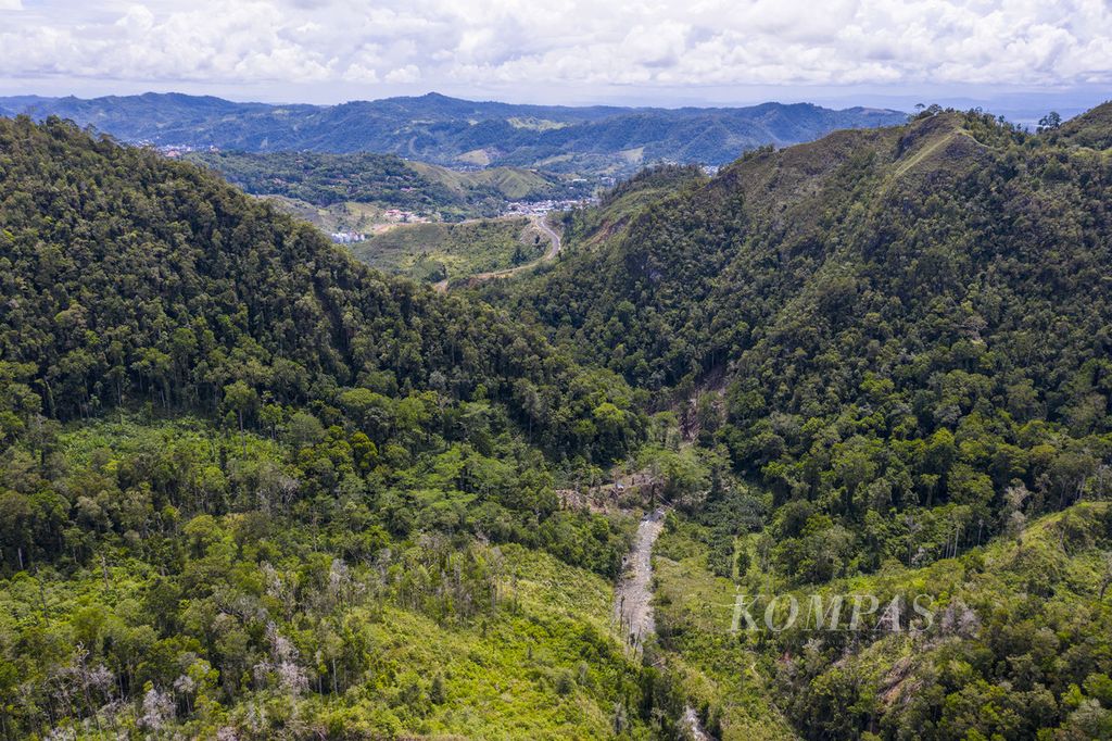Perambahan hutan di cagar alam Pegunungan Cycloop masih marak terjadi seperti terlihat di sekitar mata air Kampwolker, Distrik Heram, Kota Jayapura, Papua, Jumat (26/11/2021). 
