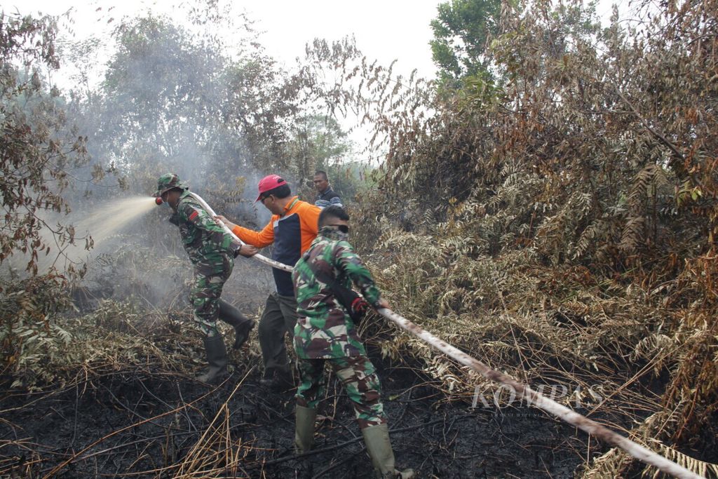 Tim pemadam kebakaran dari TNI dan PT Riau Andalan Pulp and Paper memadamkan kebakaran di Desa Sering, Pelalawan pada awal Agustus 2019.