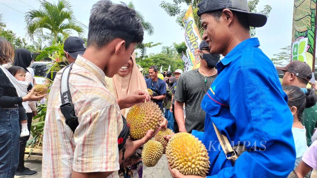 Sejumlah warga tampak bersukacita berhasil mendapatkan durian gratis setelah berebut bersama warga lainnya, Minggu (26/2/2023).