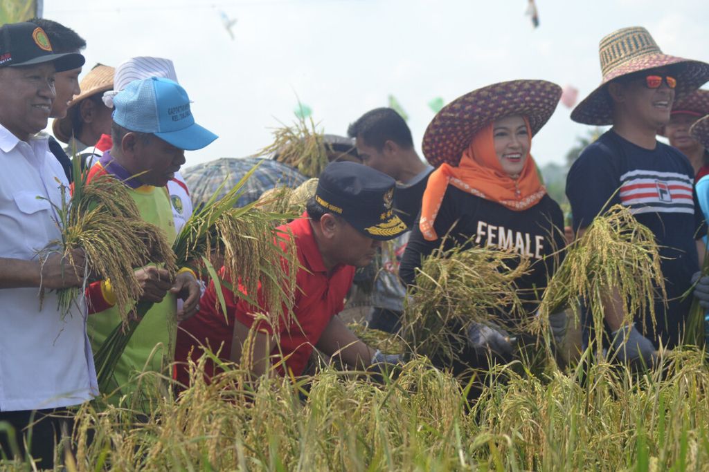 https://cdn-assetd.kompas.id/vykw_60ik_TPYpFXBlcHQOyAGRY=/1024x683/https%3A%2F%2Fkompas.id%2Fwp-content%2Fuploads%2F2019%2F11%2F20191103IDO_Panen_Padi4_1572776895.jpg