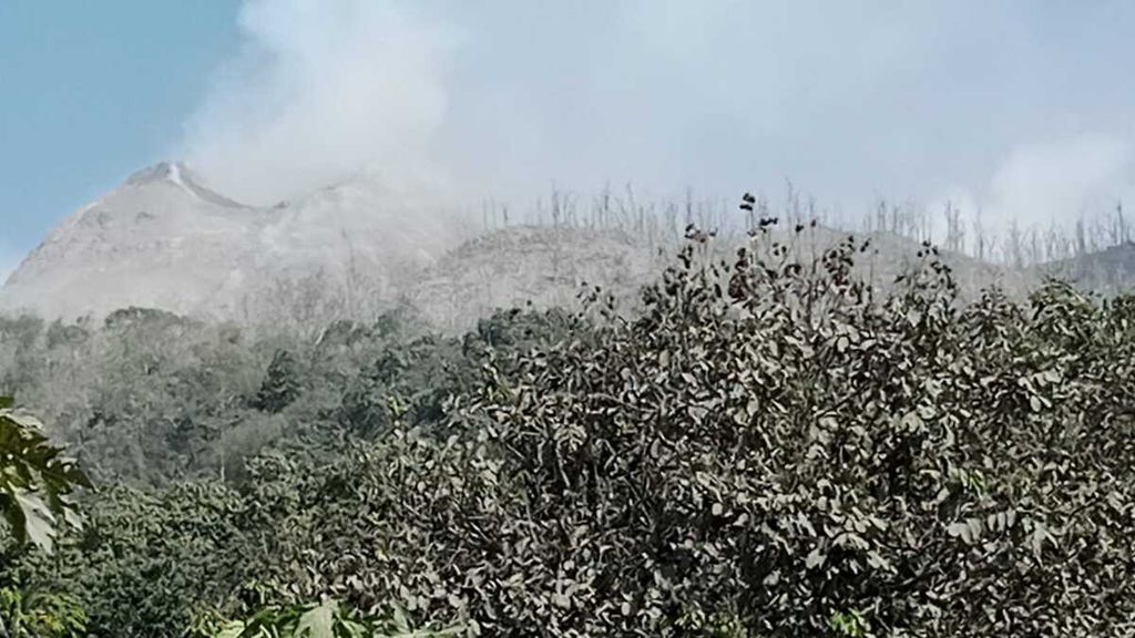 Kondisi Gunung Lewotobi Laki-laki di Flores Timur pada Rabu (5/11/2024) dari Desa Klatanlo, Kecamatan Wulanggutang. Pada Minggu (3/11/2024) tengah malam, gunung api ini erupsi tiba-tiba, tanpa peringatan dini, sehingga menyebabkan jatuhnya korban jiwa.   