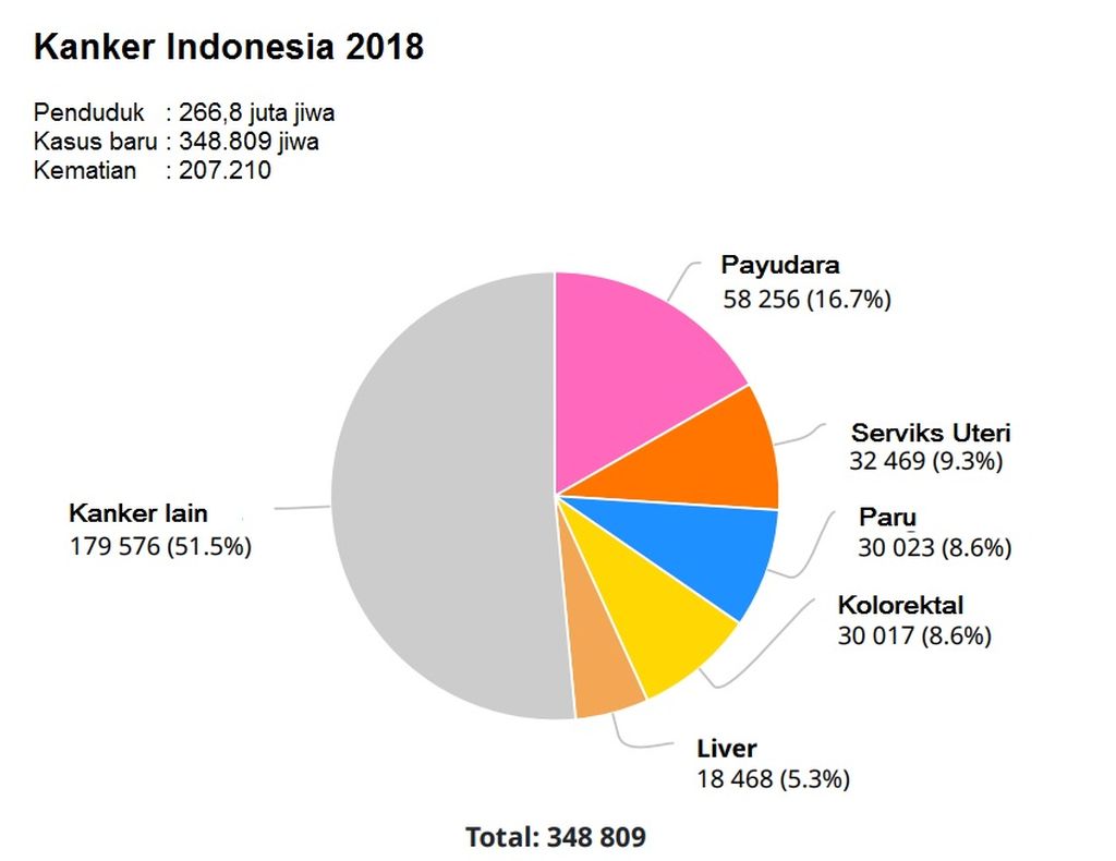 https://cdn-assetd.kompas.id/w2-3irDqdfnesS7t_ENzzGhITlY=/1024x790/https%3A%2F%2Fkompas.id%2Fwp-content%2Fuploads%2F2018%2F09%2F180913-kompas.id-kanker-Indonesia-2018.jpg