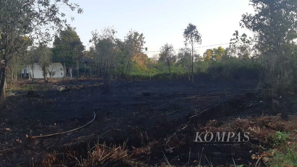 Lahan di Jalan Lamtorogung, Kota Palangka Raya, Kalimantan Tengah, usai dipadamkan oleh tim gabungan dari BPBD Kota Palangka Raya, sukarelawan pemadam kebakaran, dan Manggala Agni Kalteng, Senin (29/7/2024).