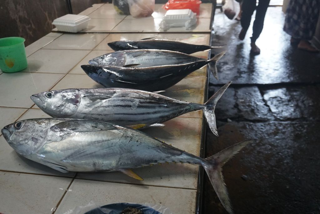 Ikan tuna dan cakalang dijual di Pasar Towo'e, Tahuna, Kepulauan Sangihe, Sulawesi Utara, Senin (9/8/2021). Mayoritas warga Sangihe menggantungkan hidupnya pada perkebunan dan perikanan.