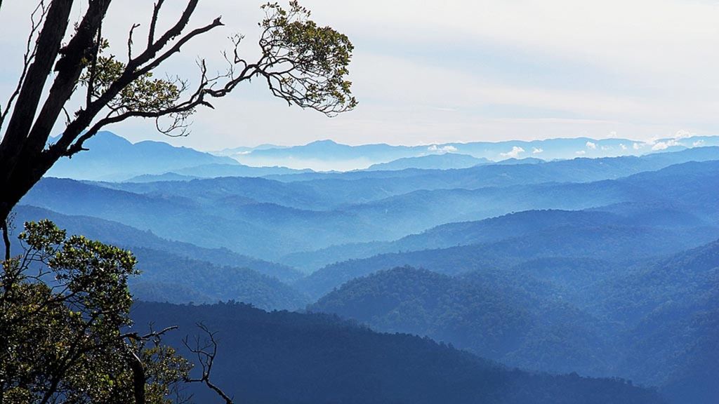 Perbukitan Kawasan Ekositem Leuser (KEL) tampak dari atas puncak Gunung Singgah Mata, Nagan Raya, Aceh.