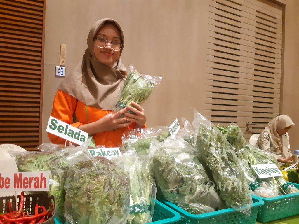 Maulidia menunjukkan produknya berupa sayur organik dari hasil penanaman hidroponik, Jumat (25/11/2022). Walau terbilang inovatif, Maulidia masih kesulitan untuk menembus pasar pemerintahan.