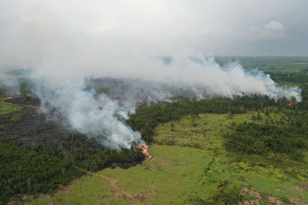 An aerial image of the situation of a land fire in Talio Hulu Village, Pulang Pisau Regency, Central Kalimantan, Tuesday (12/11/2019).
