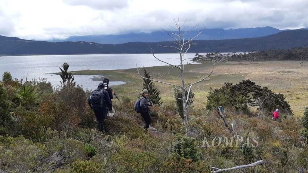 Tim Ekspedisi Tanah Papua menyusuri pinggiran Danau Habema di Taman Nasional Lorentz, Kabupaten Jayawijaya, Papua, Jumat (13/11/2021). Kawasan taman nasional ini memiliki khazanah kekayaan alam yang tinggi dan paripurna, mulai dari ekosistem pesisir hingga pegunungan salju.