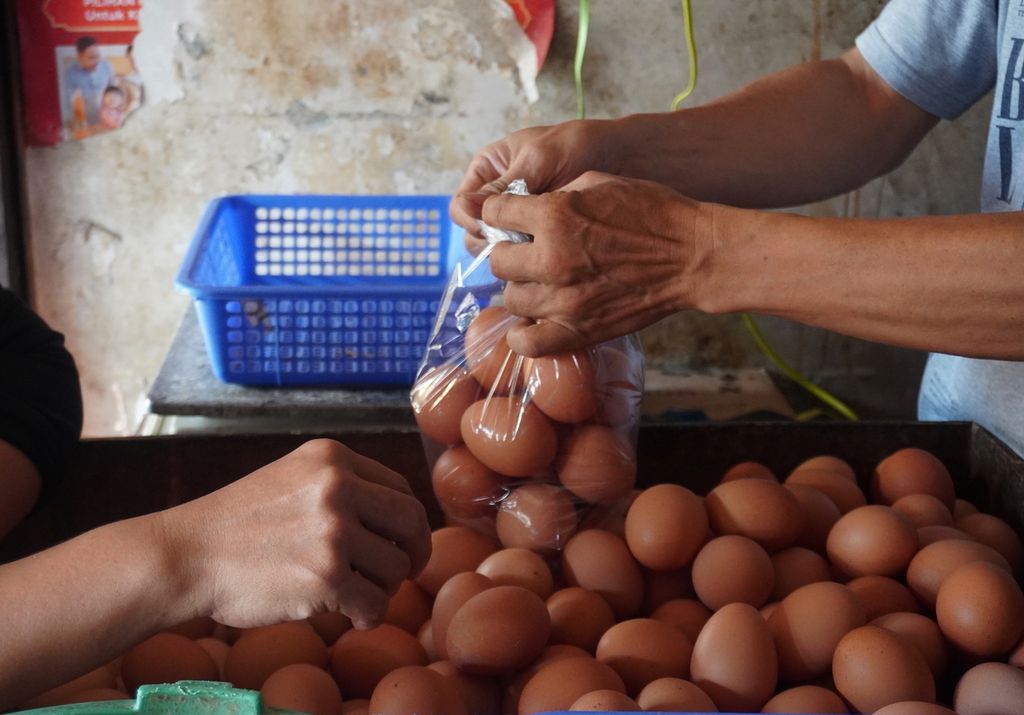 Ilustrasi-Pedagang memasukkan telur ayam ras ke dalam plastik di Pasar Pagi Kota Tegal, Jawa Tengah, Kamis (30/12/2021). 