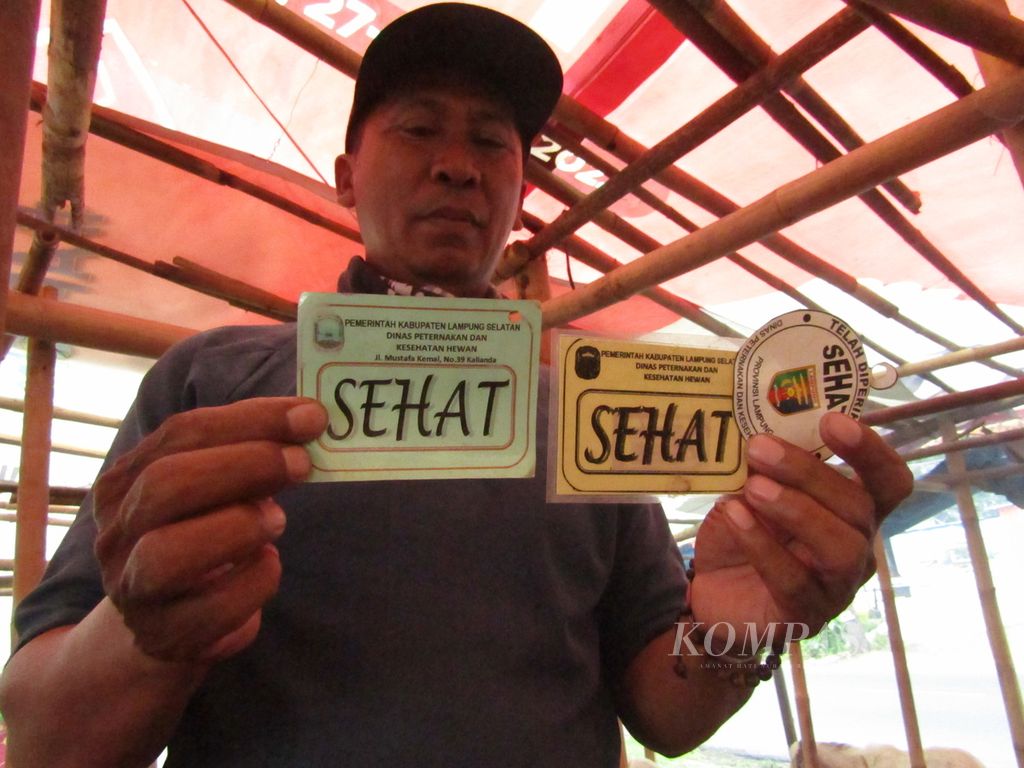 A trader of sacrificial animals shows a special sticker that reads health information for sacrificial animals that have passed a health check by officers, Thursday (23/6/2022).