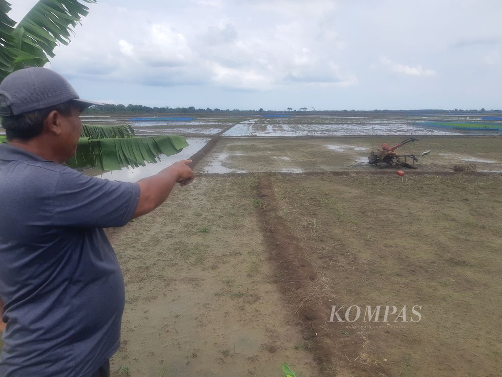 Petani menunjukkan sawah yang belum ditanami padi di Desa Jagapura Wetan, Kecamatan Gegesik, Kabupaten Cirebon, Jawa Barat, Senin (26/2/2024). Petani belum bisa menanam padi akibat kesulitan mendapatkan air. Padahal, mereka seharusnya sudah mulai menanam pada  Januari lalu.