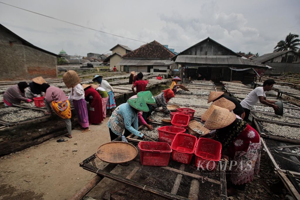 Buruh lepas perempuan bekerja sebagai pemilah ikan asin di pesisir Sumur, Pandeglang, Banten, Minggu (16/1/2022). Mereka mendapat upah Rp 5.000 setiap jamnya. Kegiatan tersebut mereka lakukan untuk menambah penghasilan keluarga.