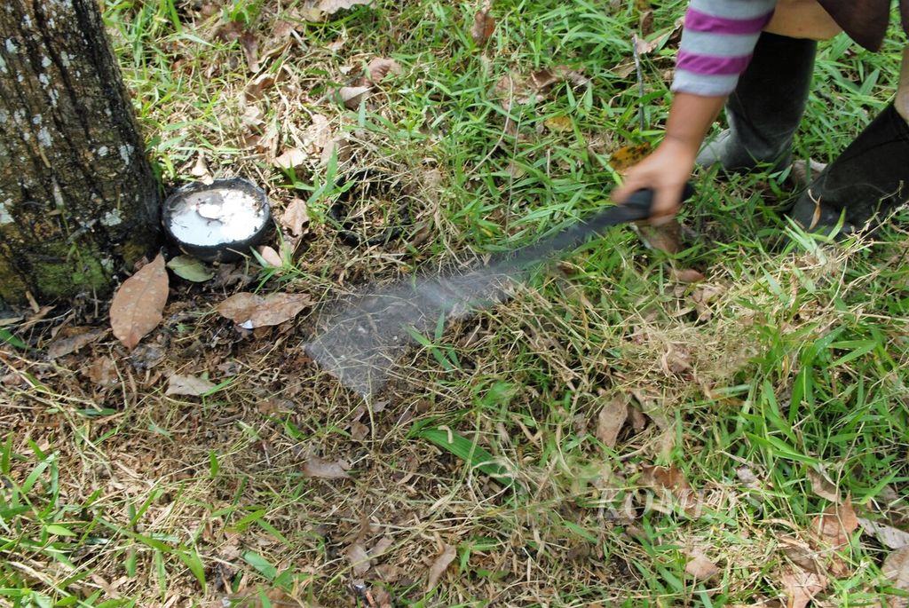 Petani menyadap getah karet di Desa Kubu Kandang, Kecamatan Pemayung, Batanghari, Jambi, Kamis (1/12/2022).