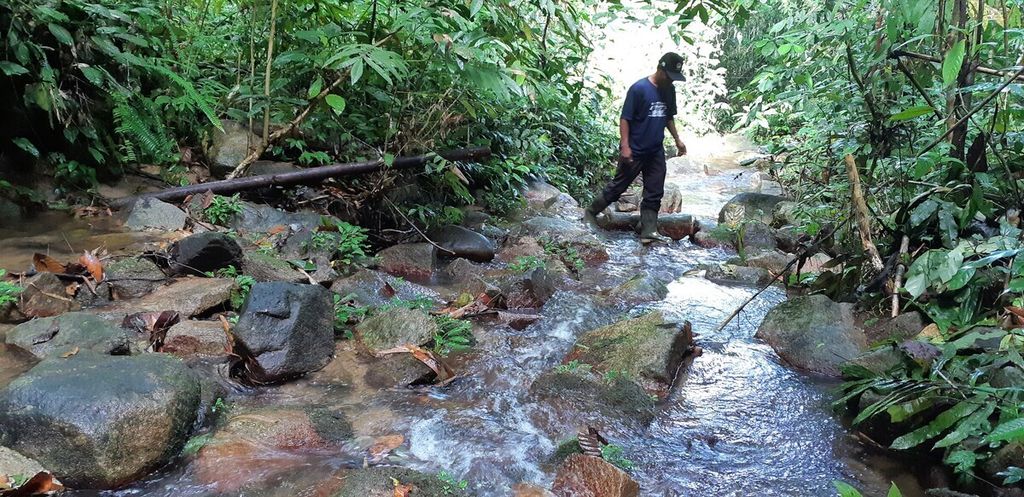 Sungai Betung berair jernih menjadi sandaran masyarakat di penyangga Hutan Adat Bukit Raya, Kawasan Karst Bukit Bulan, Sarolangun, Jambi, Rabu (17/11/2021).