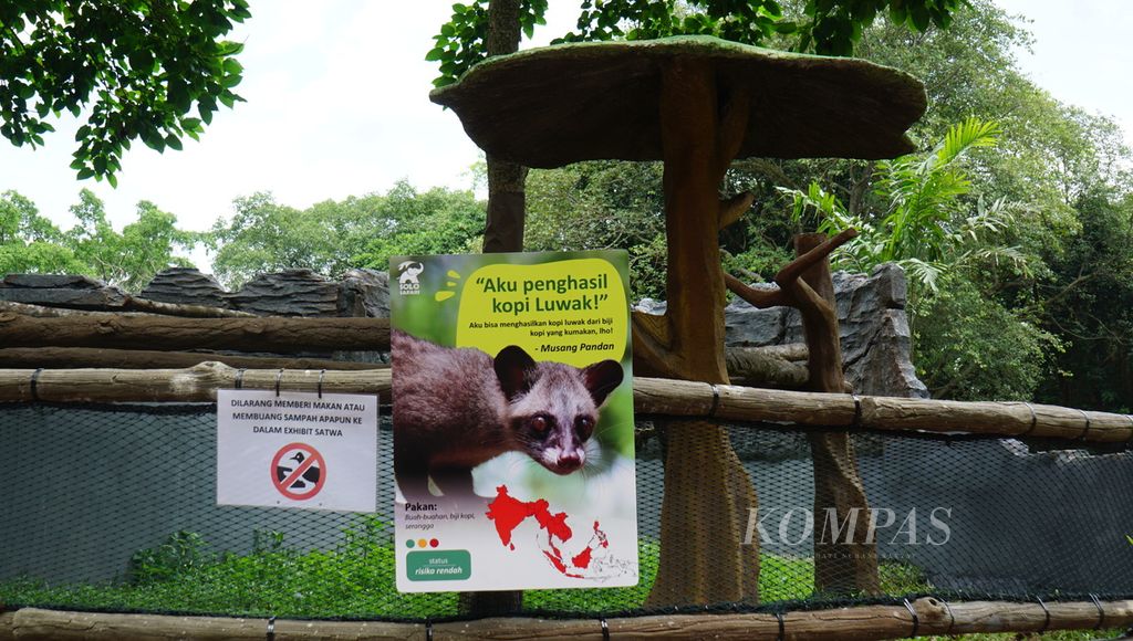 Suasana kebun binatang Solo Safari di Kota Surakarta, Jawa Tengah, Senin (23/1/2023). 