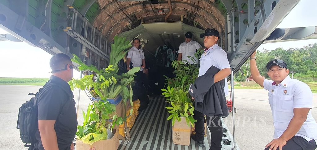 Beragam bibit pohon koleksi Wapres Maruf Amin siap diangkut pesawat CN 235 dalam rangkaian kunjungan kerja di tanah Papua, medio Juli 2023. 