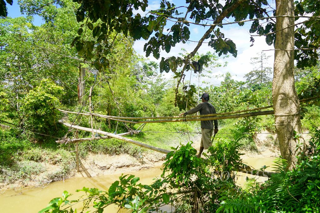 Agus (53) melintasi jembatan bambu menuju sawah miliknya di Desa Lalowiu, Rabu (14/9/2022).