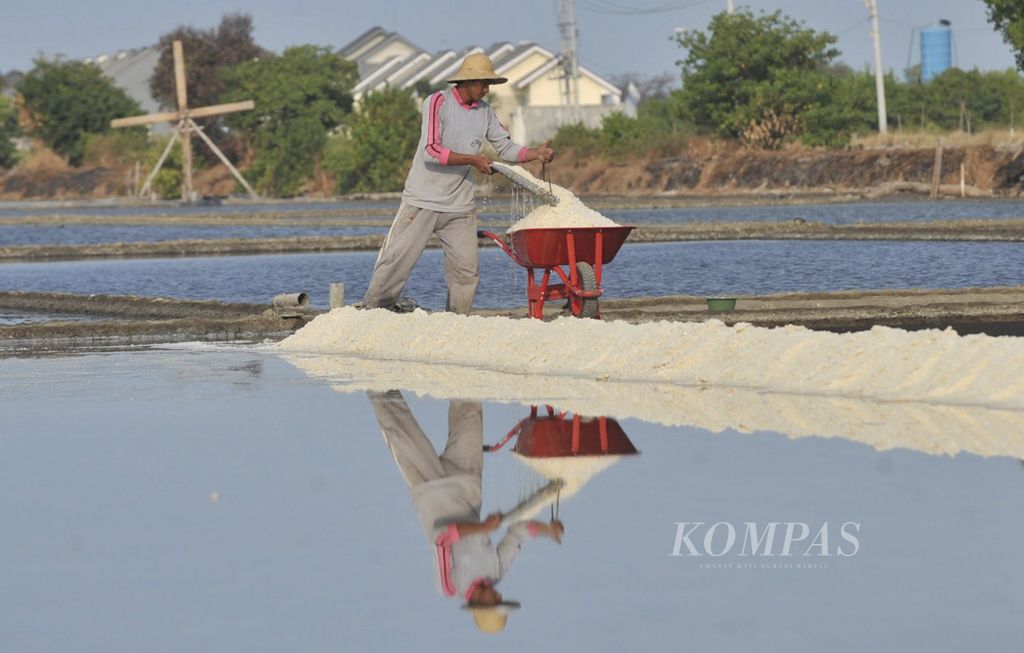 Petani memanen garam di Kecamatan Sedati, Sidoarjo, Jawa Timur, Jumat (7/8/2020). Pandemi membuat produksi garam yang seharusnya dimulai pada bulan Mei baru berlangsung pada Juli. Saat ini beberapa ldang mulai panen dan garam yang dihasilkan dijual Rp 30.000 per 50 kilogram.
