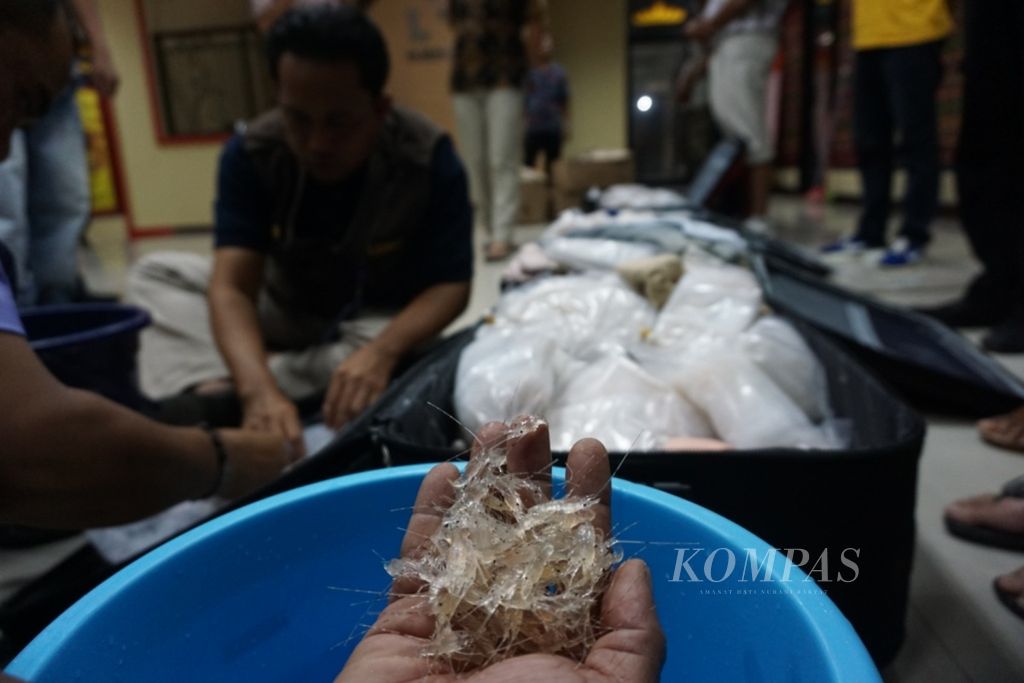 Stasiun Karantina Ikan, Pengendalian Mutu, dan Keamanan Hasil Perikanan Kelas I Lampung menggagalkan penyelundupan 65.000 ekor benih lobster beberapa waktu lalu. Lobster yang akan diselundupkan ke Singapura ditaksir senilai Rp 13 miliar.
