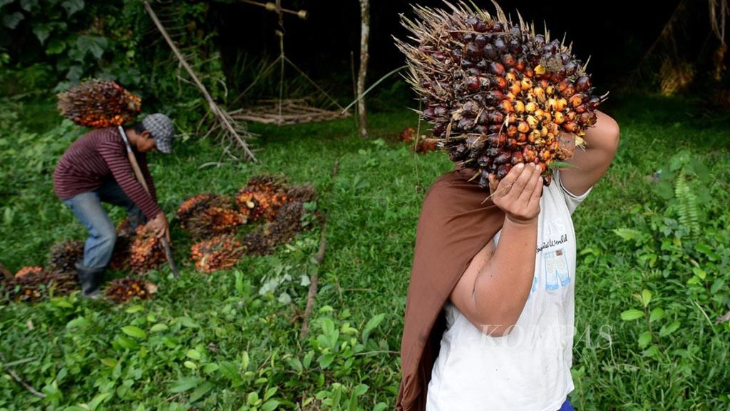 Petani mengangkut kelapa sawit yang akan disetor kepada pengepul di Desa Gunungkembang, Kecamatan Merapi, Kabupaten Lahat, Sumatera Selatan, Selasa (7/4/2015).