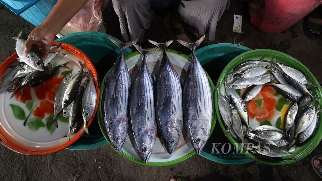 Pedagang ikan menata dagangannya di Pasar Senja TPI Lewoleba, Pulau Lembata, Nusa Tenggara Timur, Kamis (10/8/2023). Pasar yang berada di pinggir pantai tersebut hanya buka mulai sore hari. Bermacam sayuran dan hasil laut melimpah dengan harga terjangkau tersedia di pasar tersebut. 
