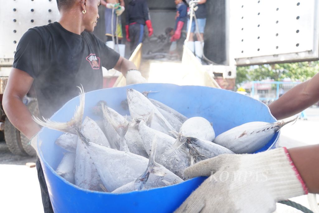 Pekerja membongkar ikan hasil tangkapan dari Kapal Motor Citra Express 11 berukuran 239 gros ton di Pelabuhan Perikanan Samudera Bitung, Sulawesi Utara, Jumat (20/10/2023), dan memuatnya ke peti kemas berpendingin untuk dibawa ke Jakarta. Sepanjang semester I-2023, sebanyak 21.100 ton ikan didaratkan di PPS Bitung.