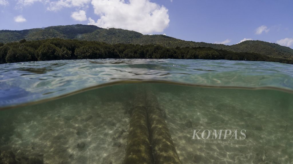 A pipe for pumping water into shrimp ponds runs across the conservation area of Karimunjawa National Park, in Karimunjawa Subdistrict, Jepara, Central Java, on Tuesday (16/4/2024).