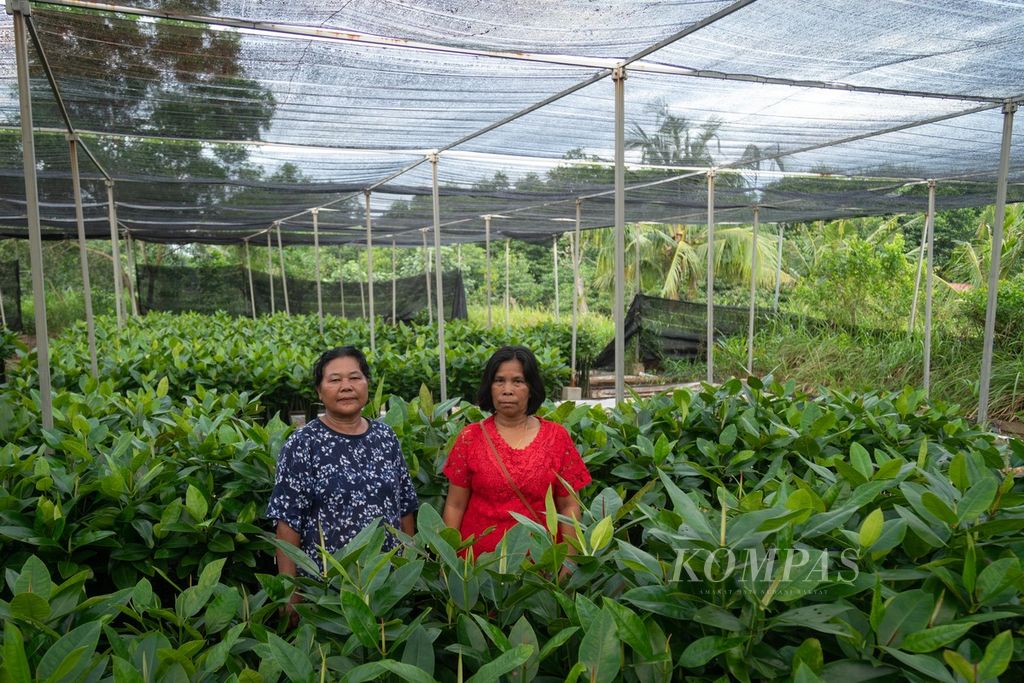 Rehmalem Ginting (kiri) dan Ruslaeni Nainggolan berada di pondok pembibitan bakau di dekat hutan lindung bakau Tanjung Piayu, Kota Batam, Kepulauan Riau, Rabu (12/10/2022).